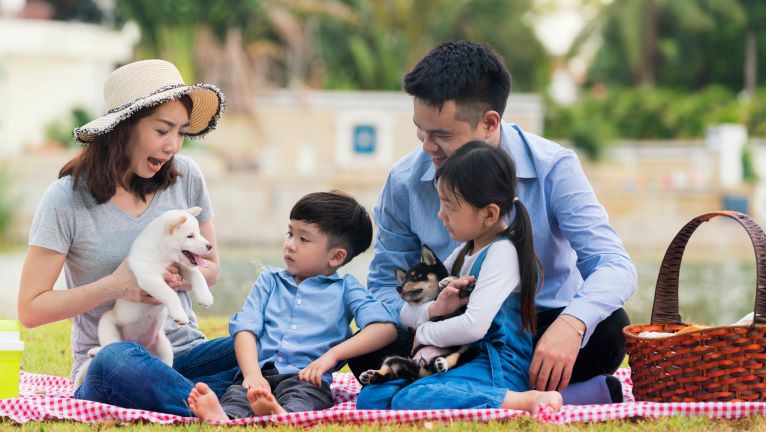 美利傳鑫外幣終身壽險(定期給付型)